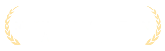 Winner, Best Affiliate Marketing Solution, Awards 2025